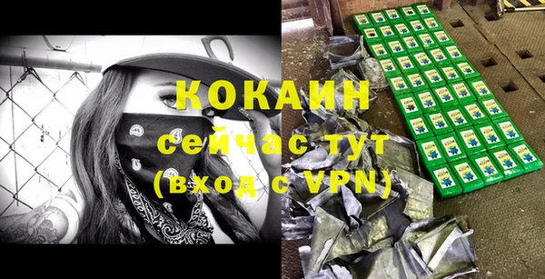 mdpv Новодвинск