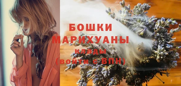 mdpv Новодвинск