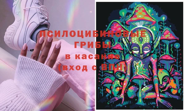 mdpv Новодвинск