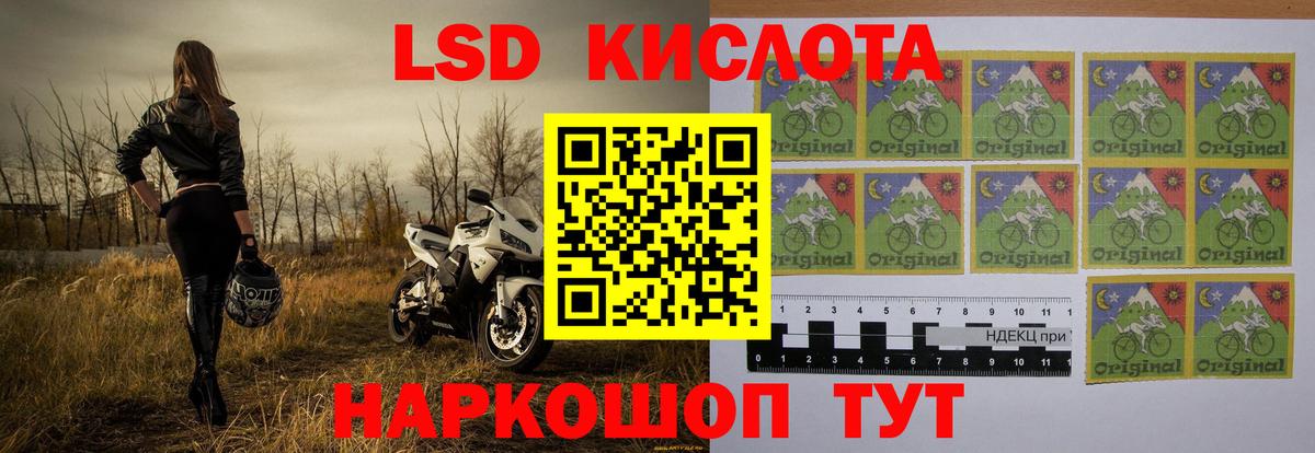 Бошки Шишки  Гарик  Вход с VPN  COCAIN  Марихуана  Котовск  Меф 