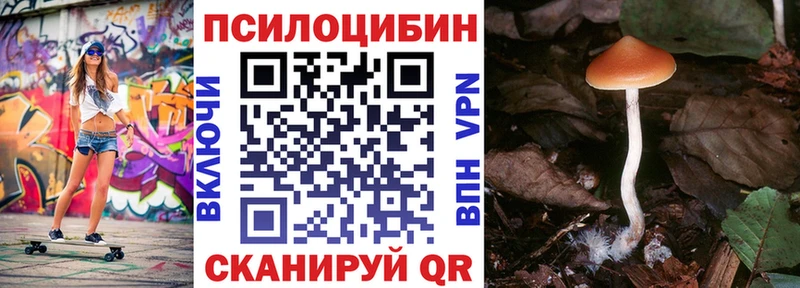 Галлюциногенные грибы прущие грибы  Котовск 