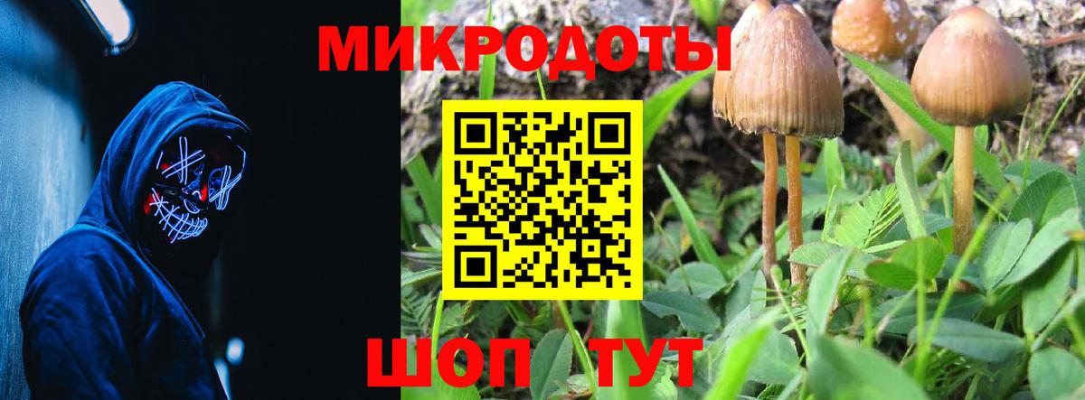 Псилоцибиновые грибы Psilocybine cubensis  Вход с VPN  Котовск 